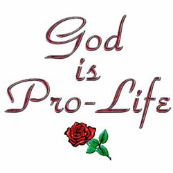 God is Pro_Life