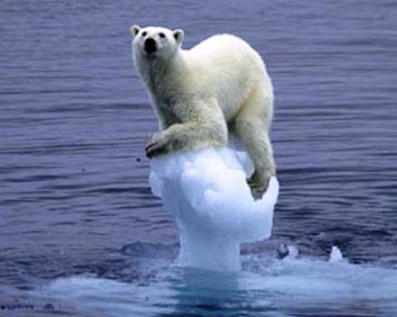 Jääkaru sulava jääga kui kliimasoojenemise sümbol